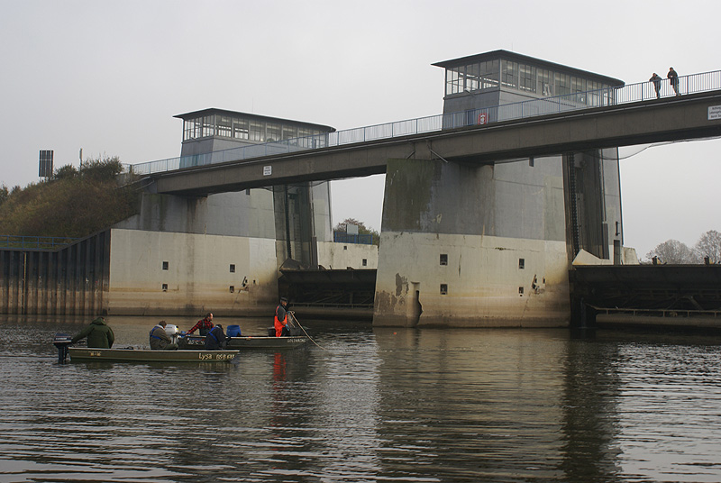 Probleme. Hindernisse